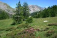 /album/les-cols/img-8003-jpg/